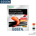  GOSEN åѥ16 EGGPOWER16 TS100 ƥ˥ å ȥ 1.301.32mm(16GA.) Ĺ12.2m(40FT.)