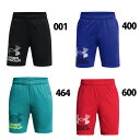野球 アンダーアーマー UNDER ARMOUR ウェア ジュニア パンツ ハーフパンツ トレーニング スポーツ 子供 (1383333)