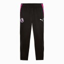プーマ サッカー PL ブリリアンス パンツ PUMA プレミアリーグ ジャージ ロングパンツ トレーニングウェア メンズ (660384-01)