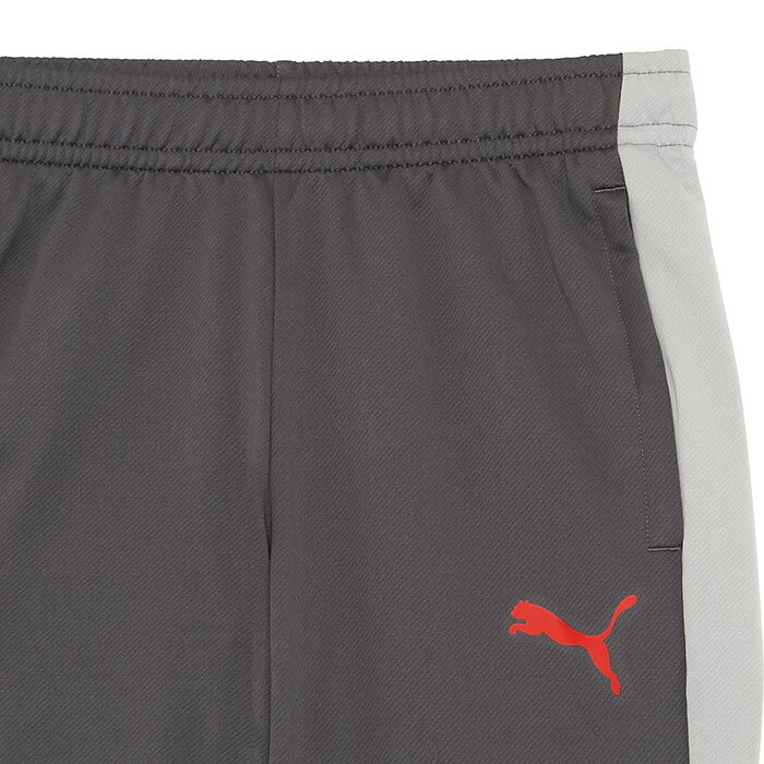 sportsプラス 1のプーマ INDIVILIGA TR パンツ PUMA サッカー フットサル ジャージ ロングパンツ トレーニングウェア 大人 メンズ (660971-01)｜アングル2