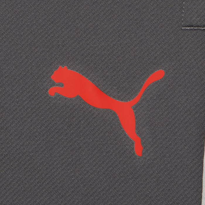 sportsプラス 1のプーマ INDIVILIGA TR パンツ PUMA サッカー フットサル ジャージ ロングパンツ トレーニングウェア 大人 メンズ (660971-01)｜アングル3