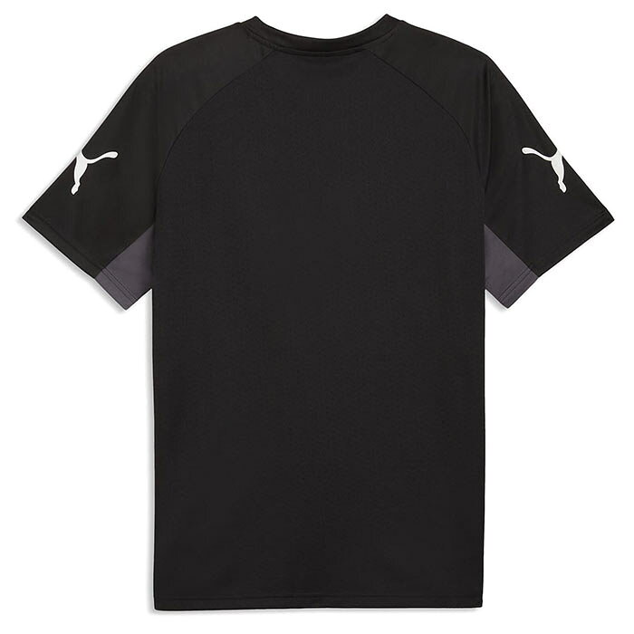 sportsプラス 1のプーマ INDIVILIGA SSシャツ PUMA サッカー フットサル プラクティスシャツ プラシャツ Tシャツ 半袖 トレーニングウェア 大人 メンズ (660962-03)｜アングル2