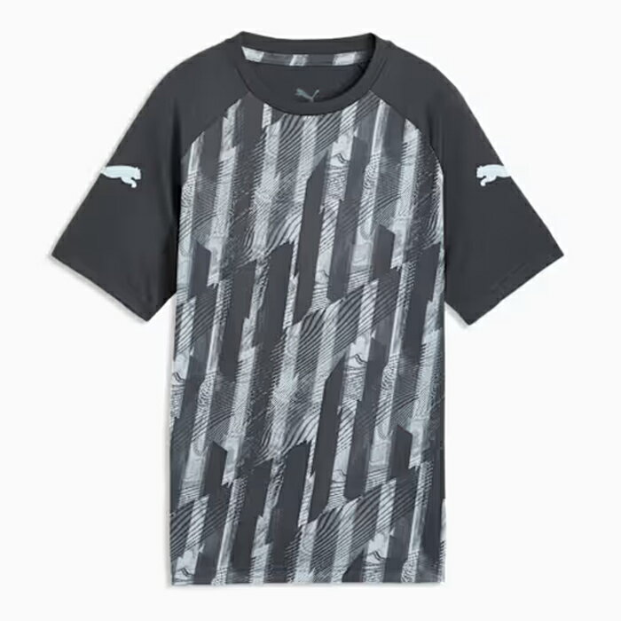 プーマ INDIVILIGA グラフィック SSシャツ JR PUMA サッカー フットサル プラクティスシャツ プラシャツ Tシャツ 半袖 トレーニングウェア ジュニア キッズ 子供 (660967-02)
