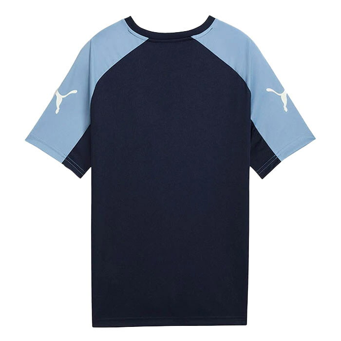プーマ INDIVILIGA グラフィック SSシャツ JR PUMA サッカー フットサル プラクテ...