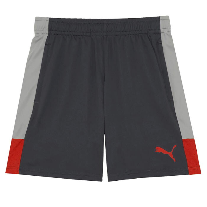 �ס��� INDIVILIGA TR ���硼�� PUMA ���å��� �եåȥ��� �ץ饯�ƥ����ѥ�� ������ѥ�� �ȥ졼�˥󥰥����� ��� ��� (660976...