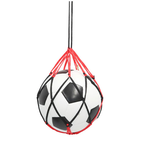 ���ե����� ���ȥ쥹�ե꡼�ܡ���ͥå� sfida �ܡ���Хå� �ͥå� �ܡ����Ǽ (SH21O01)