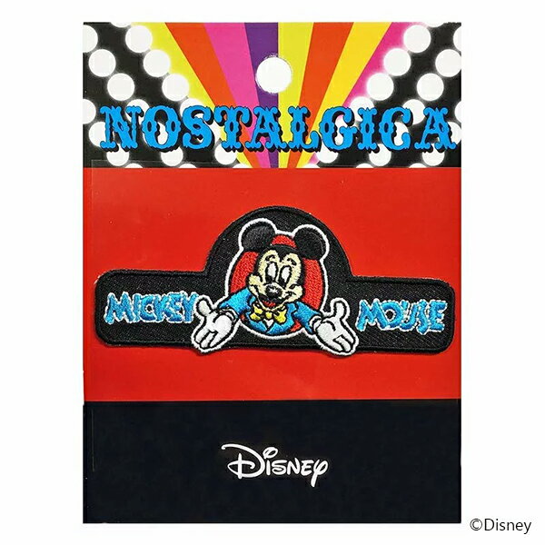 [] Disney ǥˡ Υ른 åڥ ߥåޥ 륫 APDS3907N ⡼롦ץͥå  ...