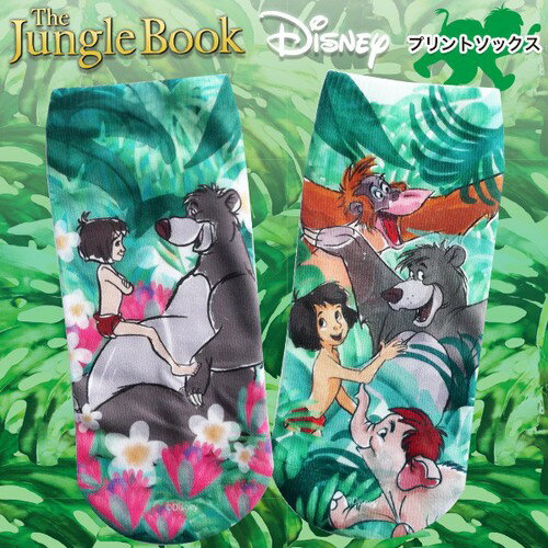 Disney ディズニー ジャングル・ブック バルー＆モーグリ/オールスター プリントソックス 22～24cm レディース AWDS4220_AWDS4221