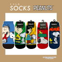 [] PEANUTS s[ibc Xk[s[ Ђ  ܂ ˂ׂ P LbNX 23cm`25cm fB[X\bNX SN1805J_SN1809J X[Evlbg O[ IW CG[ bh `[[uE CiX [V[ EbhXgbN