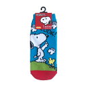 [] PEANUTS s[ibc Xk[s[ bNI \bNX 23cm`25cm SNAP2021J X[Evlbg