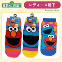 [公式] SESAME STREET セサミストリート ボーダー エルモ/クッキーモンスター/クッキー キャラックス 23cm〜25cm SE1028J_SE1029J_SE1030J スモール・プラネット