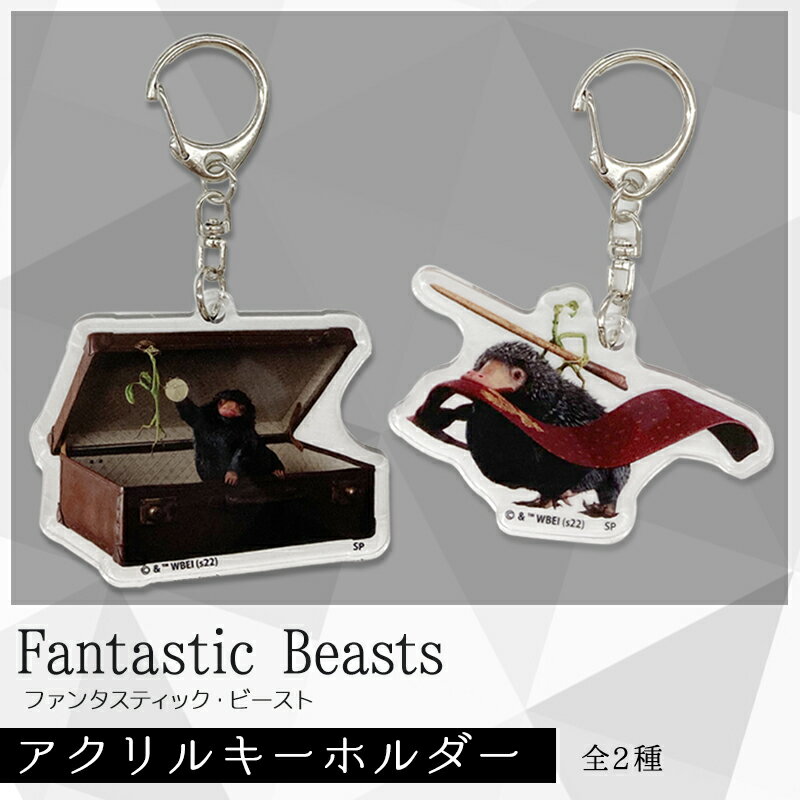 [公式] ファンタスティック・ビースト 二フラーとピケット A B アクリルキーホルダー WB1523_WB1524 スモール・プラネットのサムネイル