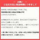 「MARVEL」（マーベル）とダンス・ボーカルグループの「MAZZEL」（マーゼル）の夢のプロジェクト企画第二・・・