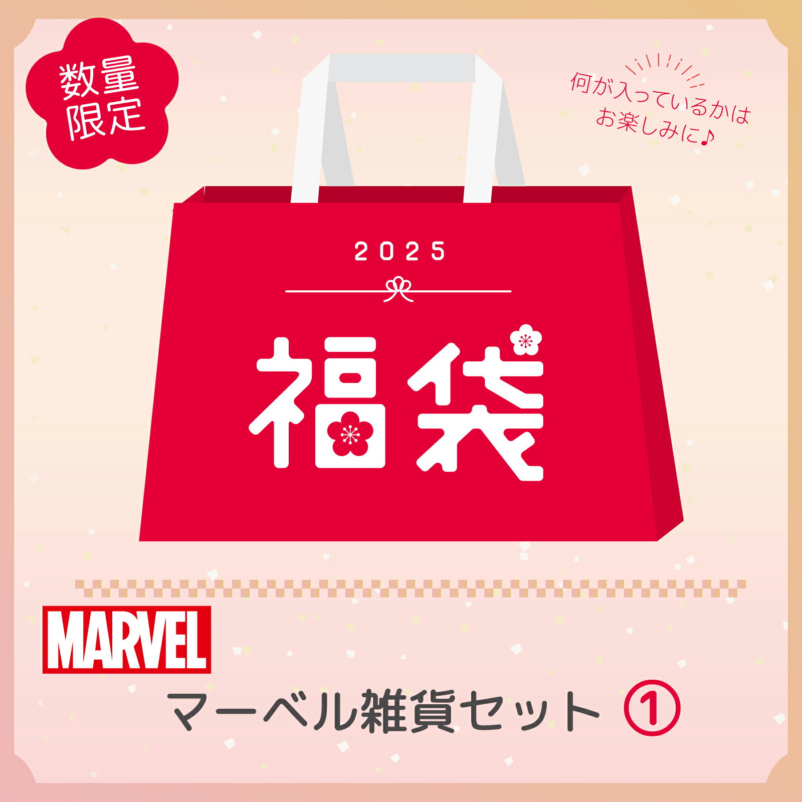 【福袋】 2025 Rendez-Vous MARVEL 雑貨1