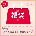 1月15日まで★【福袋】Rendez-Vous Disney 雑貨2(アナと雪の女王)