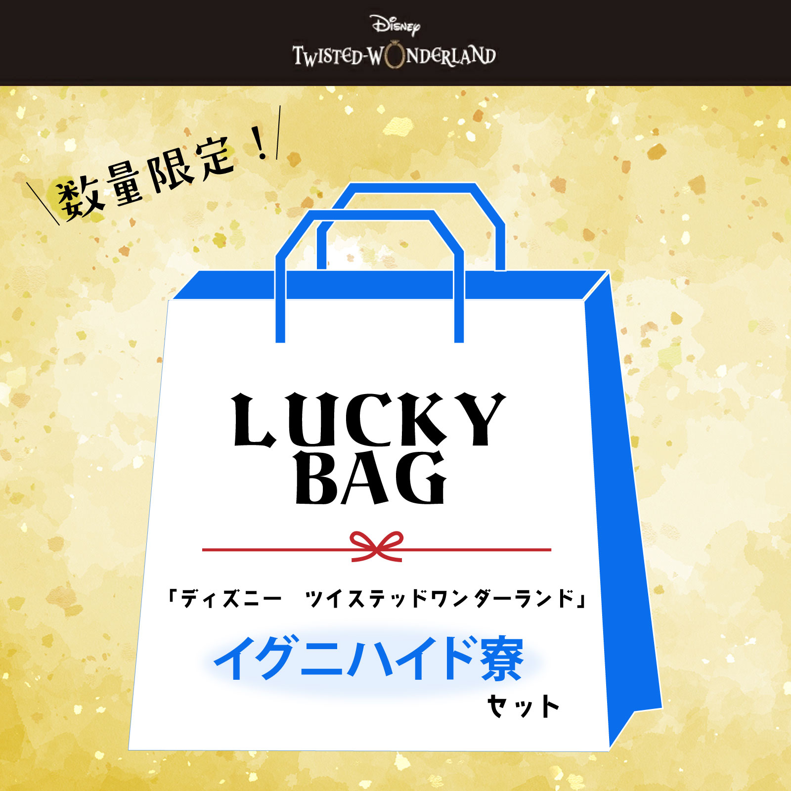 【福袋】2026 ディズニー ツイステッドワンダーランド イデア オルト 雑貨 スペシャルセット イグニハイド 送料無料