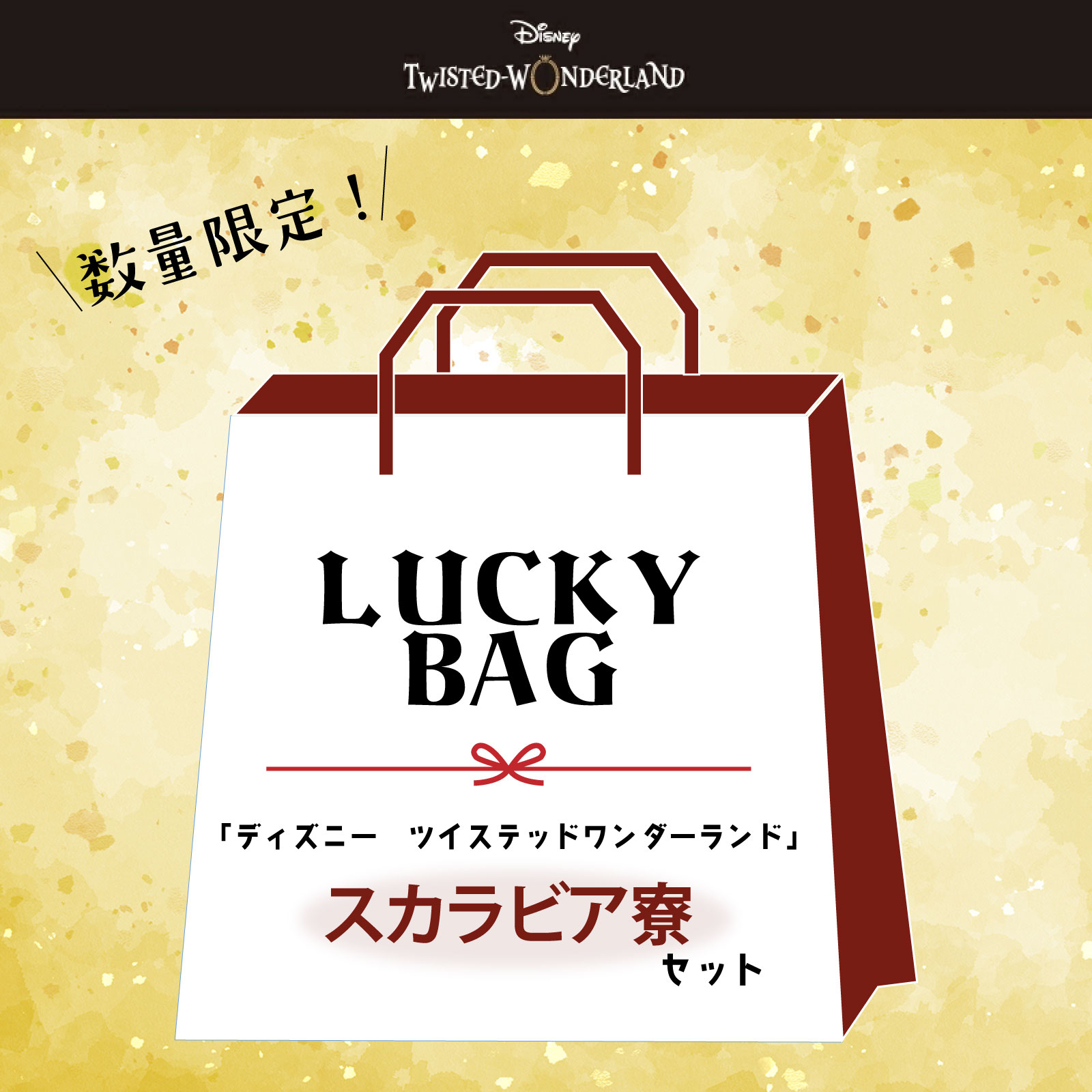 【福袋】2026 ディズニー ツイステッドワンダーランド カリム ジャミル 雑貨 スペシャルセット スカラビア 送料無料