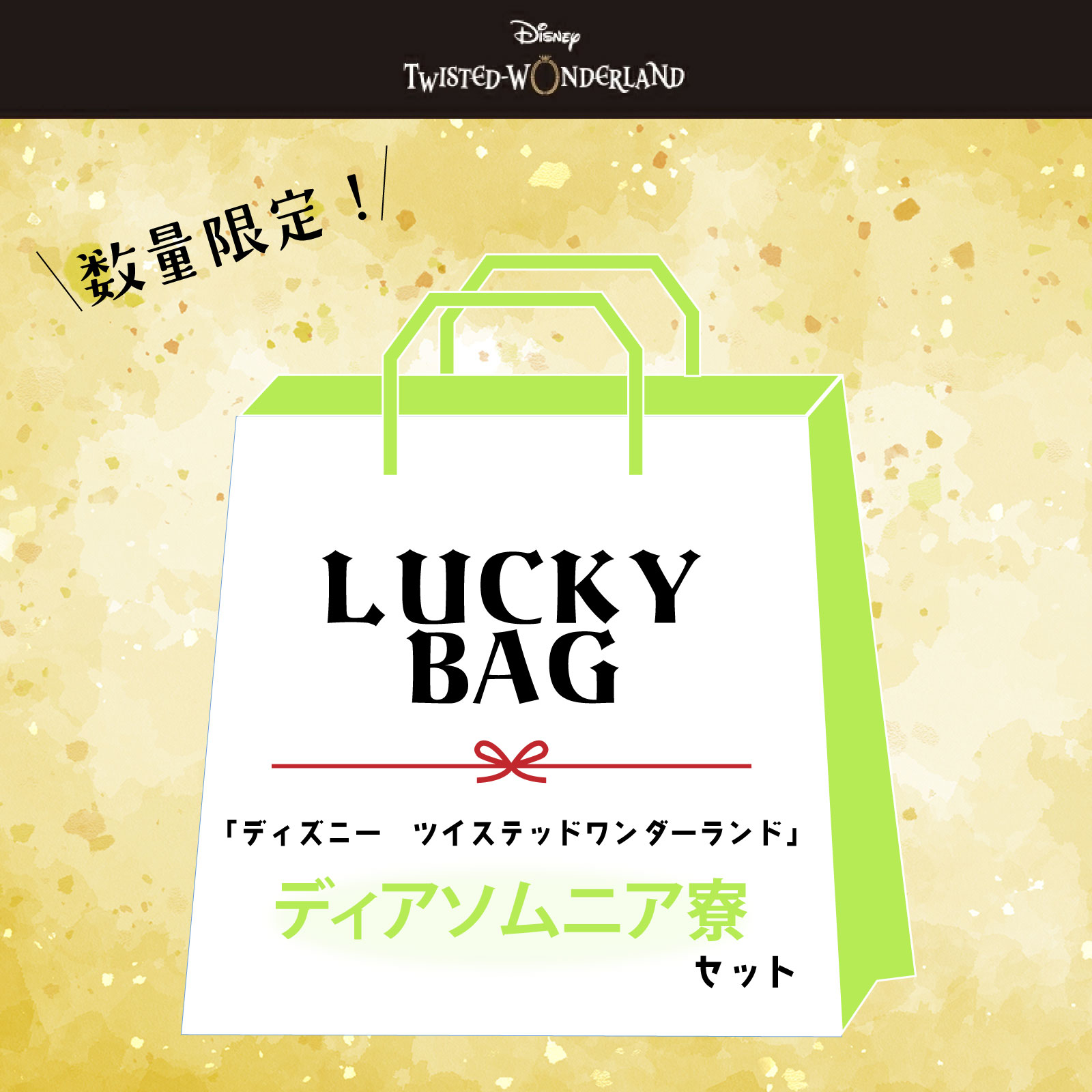 【福袋】2026 ディズニー ツイステッドワンダーランド マレウス シルバー セベク リリア 雑貨 スペシャルセット ディアソムニア 送料無料