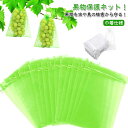 【50/100枚セット ネット フルーツネット 果実 30×40cm 果物保護袋 【50/100枚セット 保護 7サイズ】 防虫 園芸ネット ネット ネット 防...