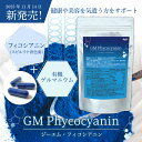 sp100:10002033のサンプル画像2