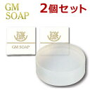 GM SOAP（ジーエムソープ）100g×2個セ