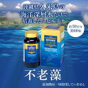 sp100:10000123のサンプル画像2