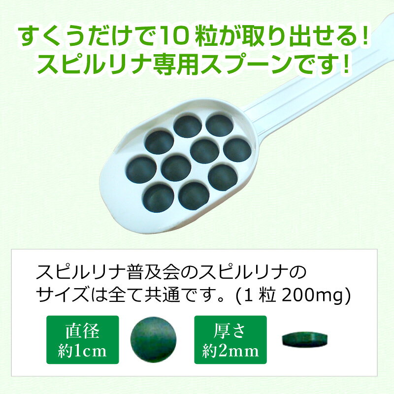 ���ԥ�����10γ���ס���