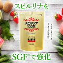 SGF強化スピルリナ100％1800粒6袋購入で1袋無料プレゼントサプリメント スーパーフード ホールフード BCAA 健康食品 2