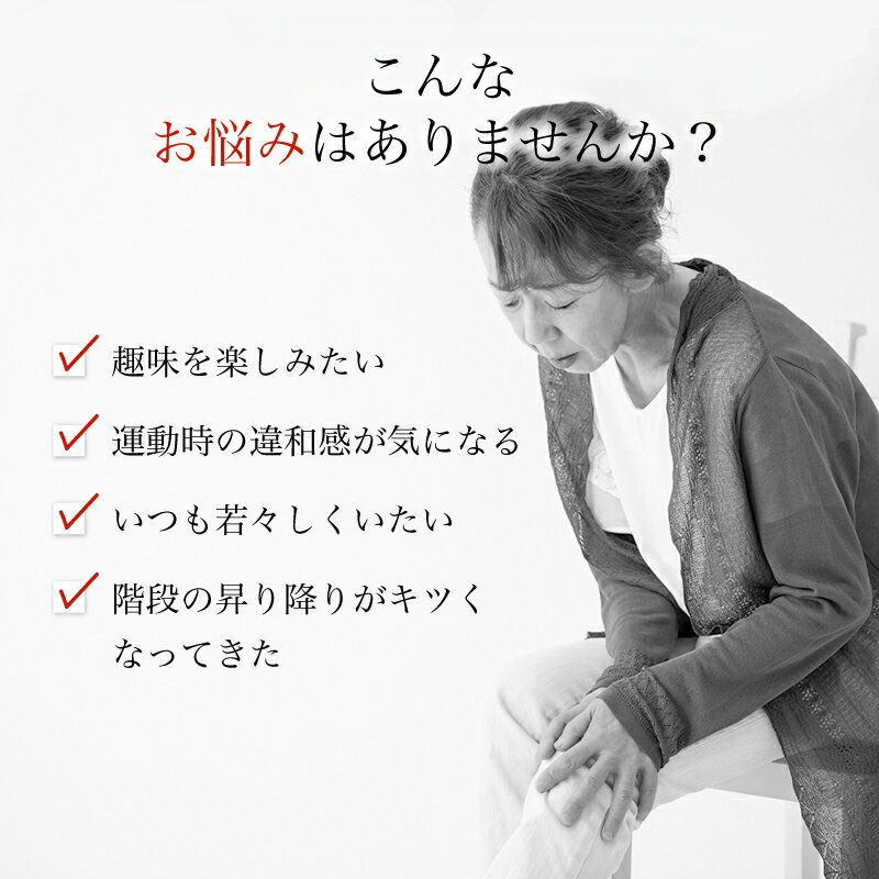 ���ԥ��ʡ����륳���ߥ� �� ����ɥ������� 1200γ ��30��ʬ���ץ���� �ե����ƥ��� �������å� ����ѥ��������äפ� �򹯿��� ���ǹ�3,000�߰ʾ�����̵����