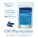 1ケース（10個セット）【Family's SPIRULINA PREMIUM】2000粒入り (1000粒×2本) 天然スピルリナ ビタミン カルシウム ビフィズス菌 コラーゲン配合 Familys Spirulina Premium スピルリナ　プレミアム