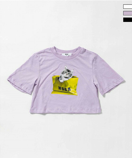 楽天市場】msgm ネコの通販 