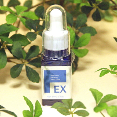 ポリリンホワイトEX スターターキット 【医薬部外品】＜薬用歯磨き19ml / 特殊表面加工スポンジ歯ブラシ30個入＞【ネコポス不可】