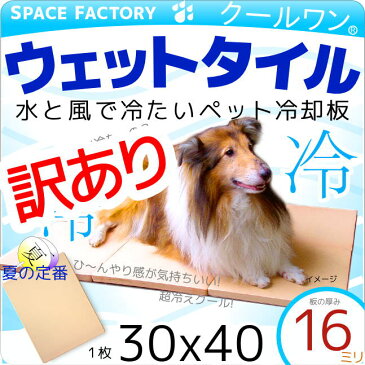 訳あり割引 2枚組 クールワン ウェットタイル 30×40cm 2枚組 1.6cm厚 脚付 冷却マット 犬・猫OK 屋外でも冷たい ペットの夏用ベッド ひんやりグッズ マット 暑さ対策 犬用品 冷たい ひんやり クールマット 犬 夏対策