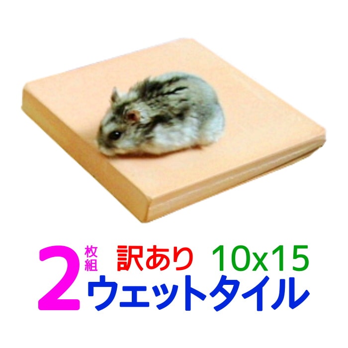 【訳あり割引】2枚組 クールワン ウェットタイル 10x15cm A2枚組 1.6cm厚 / 冷却マット ハムスター・はりねずみなど小動物の夏用ベッド ひんやり マット ペット用品 冷たい ひんやりグッズ クールマット 夏対策