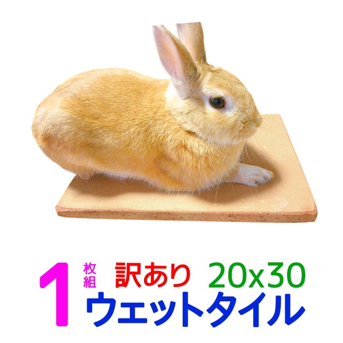 訳あり割引 単品 クールワン ウェットタイル 20×30cm A単品 1.6cm厚 冷却マット うさぎ・フェレット・モルモット・チンチラ・デグーなど小動物の夏用ベッド ひんやり マット ペット用品 冷たい ひんやりグッズ クールマット 夏対策