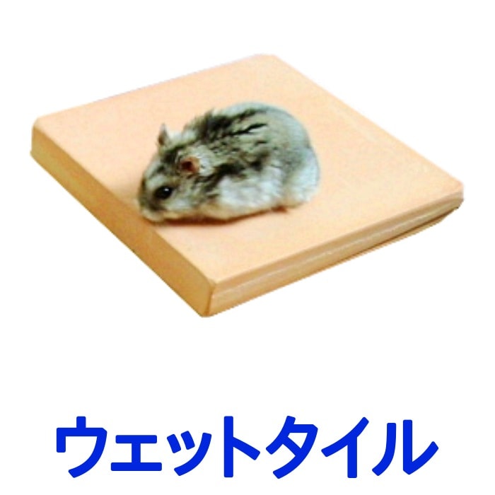 【小動物用】クールワン ウェットタイル / アウトレット15x15cm A2 2枚組1.6cm厚 /冷却マット ハムスター・はりねずみなど小動物の夏用ベッド ひんやり マット ペット用品 冷たい ひんやりグッ…