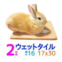 【小動物用】クールワンウェットタイル 17×30cm 2枚組　S2 1.6cm厚 /冷却マット/うさぎ・フェレット・モルモット・チンチラ・デグーな..