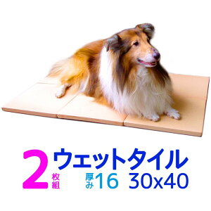 クールワン ウェットタイル 30×40cm 2枚組 1.6cm厚 脚付 冷却マット 犬・猫OK 屋外でも冷たい ペットの夏用ベッド ひんやりグッズ マット 暑さ対策 犬用品 冷たい ひんやり クールマット 犬 夏対策 数量限定商品 追加送料となる地域あり　外飼い