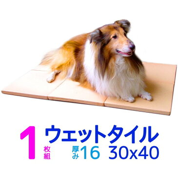 クールワン ウェットタイル 30×40cm1枚 単品S 1.6cm厚 脚付 冷却マット 犬・猫OK 屋外でも冷たい ペットの夏用ベッド ひんやりグッズ マット 暑さ対策 犬用品 冷たい ひんやり クールマット 犬 夏対策