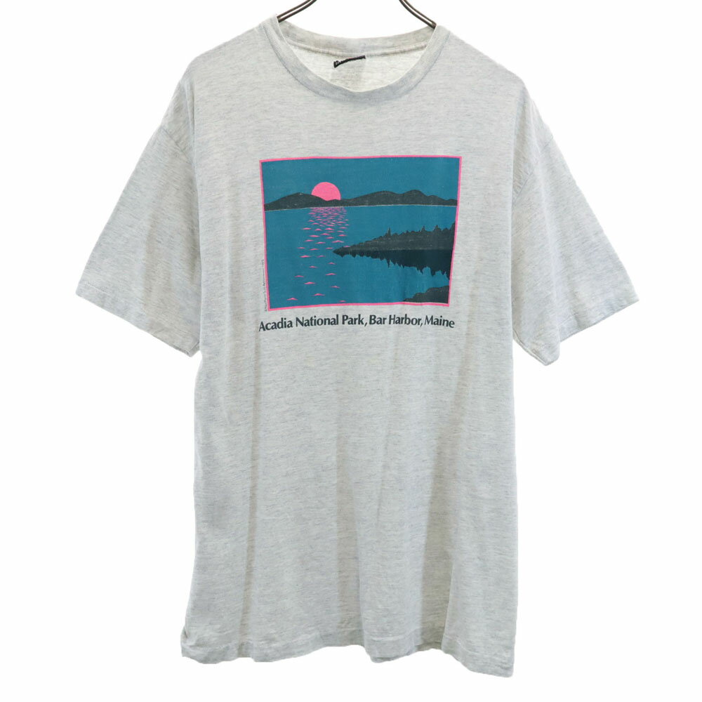 Rakuten - 古着 SIGNAL SPORTS シグナルスポーツ 90s オールド 半袖 Tシャツ L グレー メンズ 【中古】