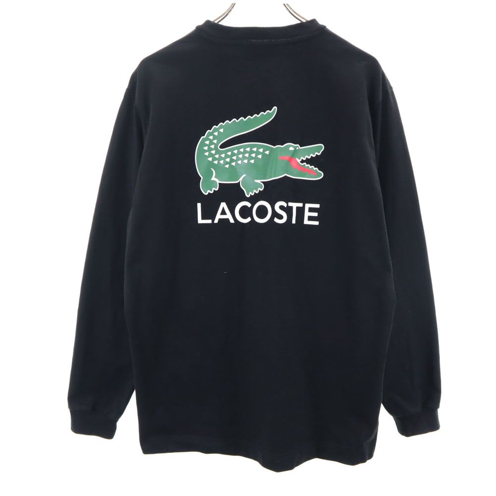 RXe obNvg  XEFbg g[i[ 4 ubN LACOSTE Y yÁz y240423z