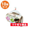 【ワケあり商品】ココピート/ココナチュラルディスクタイプ　100g×10個入　無印商品（ラベル無貼付）　おまけ付き