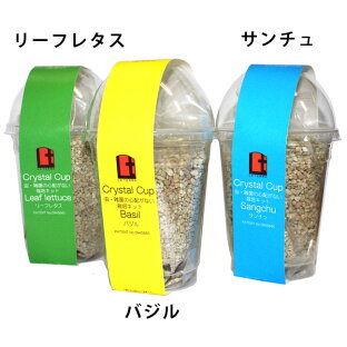 バジル 栽培キット 室内のおすすめランキング 高衛生人工土壌 室内用土crystal Cup 虫 雑菌の心配がない栽培キット 選択項目あり バジル リーフレタス サンチュ家庭菜園 栽培 キット 2ページ バジル 栽培キット 室内のおすすめランキング 高衛生人工土壌 室内用土crystal Cup 虫 雑菌の心配がない栽培キット 選択項目あり バジル リーフレタス サンチュ家庭菜園 栽培 キット 2ページ