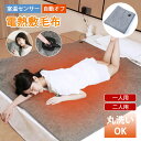 電気毛布 電気敷毛布 電気敷き毛布 足入れ電熱マット 電気ブランケット ひざ掛け ブランケット 掛け敷き兼用 電気毛布 ひざ掛け ブランケット 洗える usb充...