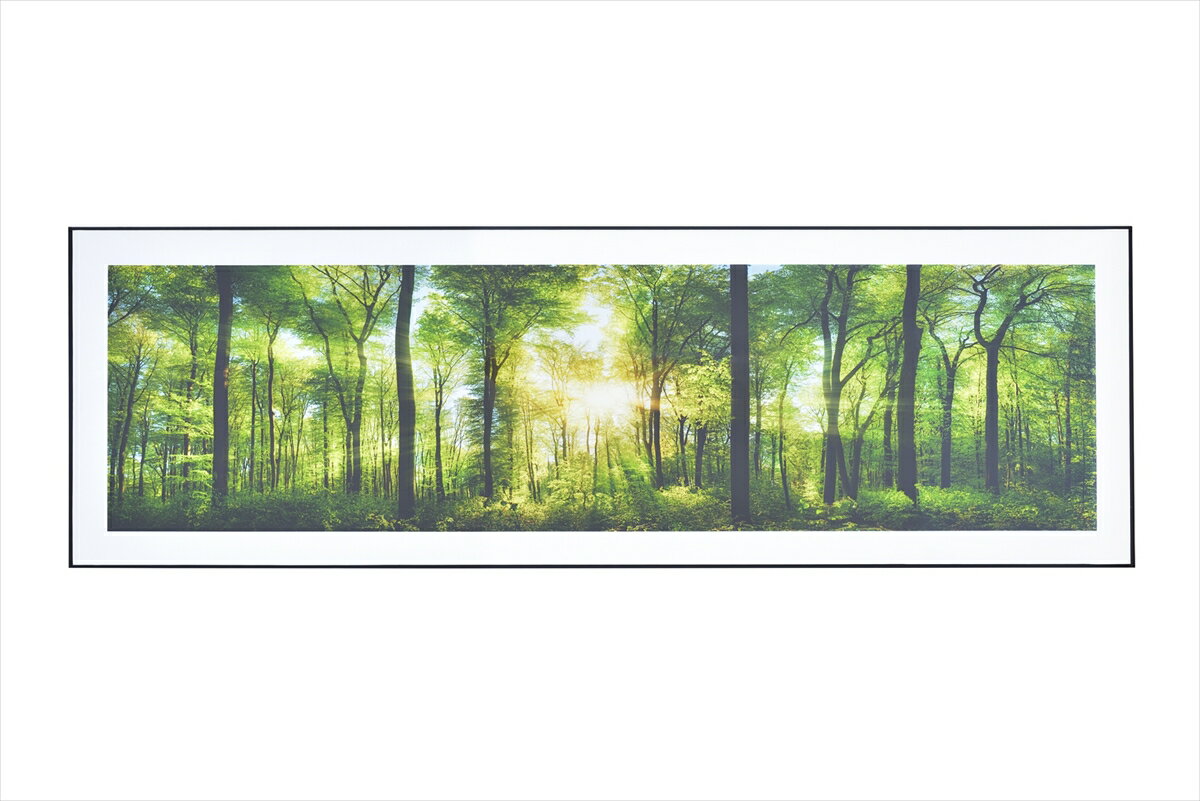 アートパネル ホワイト ART-201A アートパネル 140×45cm ワイド グラフィックパネル デザインボード ア..