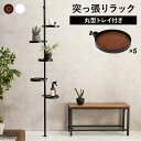 突っ張り棒&パーツ 6点セット(丸型) KTR-3116 突っ張りラック 壁面 天井 ポールラック スリム おしゃれ 木目調 小物収納 丸型トレイ フック付き 玄関収納 ディスプレイ 突っ張り 収納 つっぱり棚 ラック ハンガーラック キッチン 天井 壁面収納