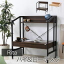 Rita デスク 机 ワークデスク 北欧 おしゃれ デザイン シンプルデスク カフェ風 ミッドセンチュリー 家具 ブルックリンスタイル 幅 80 コンパクトデスク DRT-1001