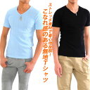 Tシャツ TEE 半袖 メンズ ストレッチ Vネック 消臭 ...