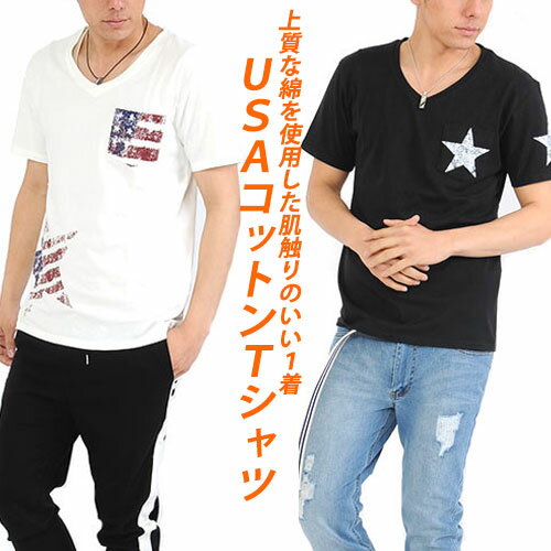 TシャツメンズUSAコットンプリン...