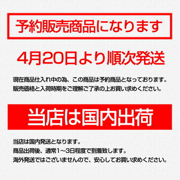 マスク 50枚 白 ホワイト 不織布マスク プリーツマスク ふつうサイズ 大人用 使い捨て 在庫 10枚 日本 国内 高密度フィルター ノーズワイヤー ゴム 個包装 販売 在庫あり ウイルス 国内発送 3層構造プリーツマスク 予約